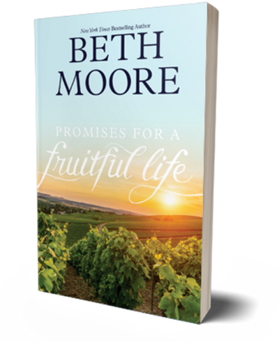 Promises of a Fruitful Life Book