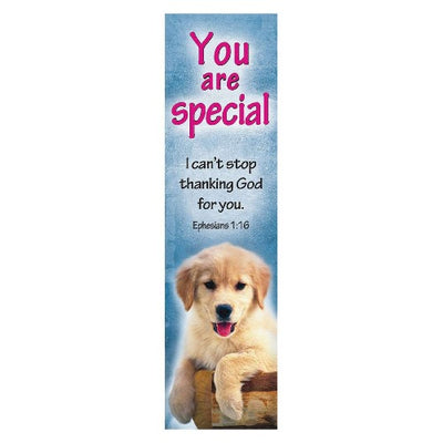 You are Special Bookmark